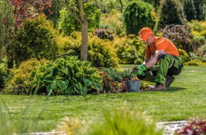 Gardening Services in Suffolk